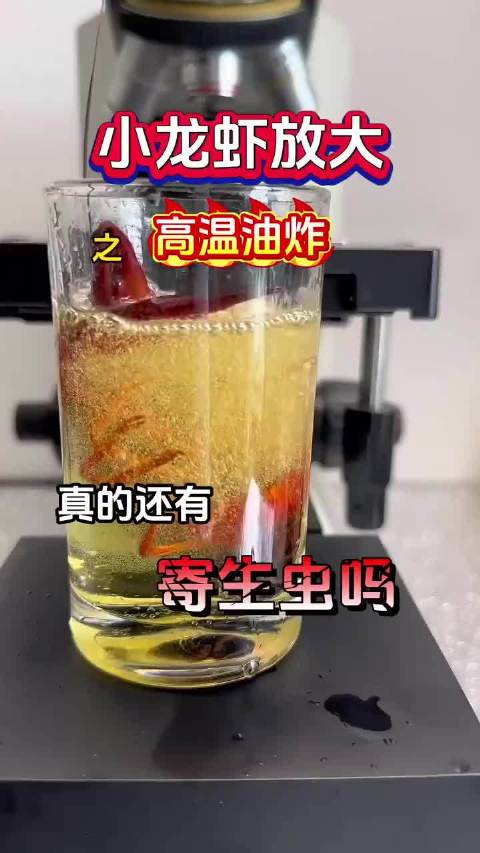 小龙虾高温油炸后，真的还有寄生虫吗？