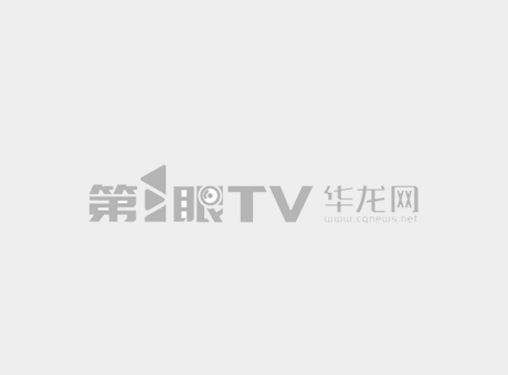 上市丨全尺寸豪华SUV气势非凡 全新林肯领航员长轴总统版售价142.80万元-华龙网