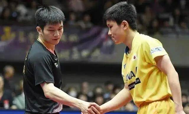 张本智和两场3-0血洗！致敬樊振东名场面出圈，到底有多强？
