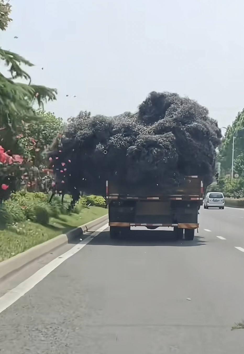 货车装满铁屑刮坏马路绿化带，花和叶落一地，芜湖交警：将处罚货车司机