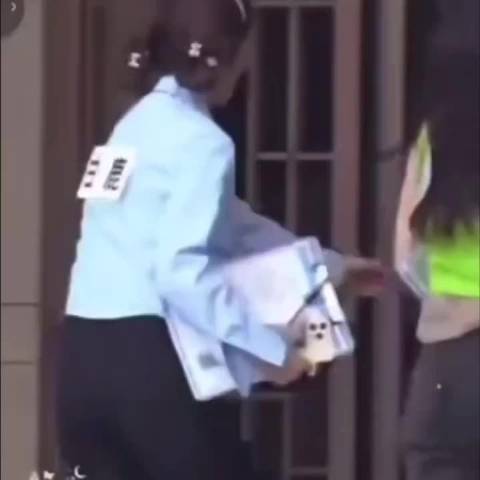 白鹿遭全网质疑半月，综艺言论成唯一争议点