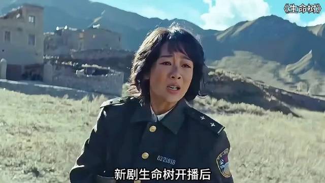 属于大美青海的一部电影