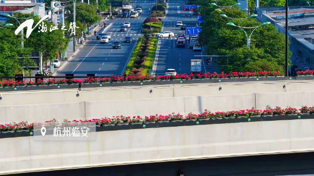 跟着李云霄歌声看浙江一路繁花