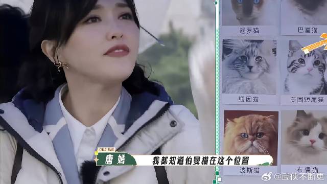 唐嫣奇怪的脑洞乐坏姚晨，吴彤再给机会，重新记忆