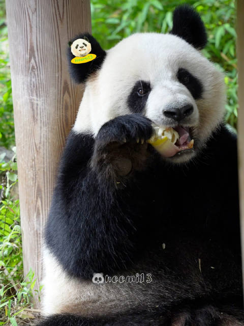 网友为婷仔祈福盼早日康复