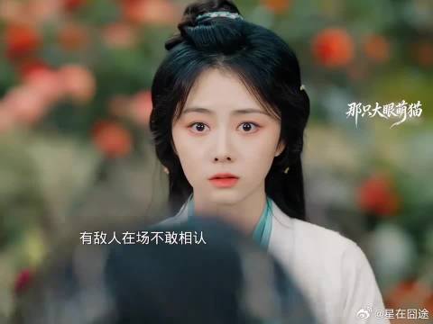我知你身不由己