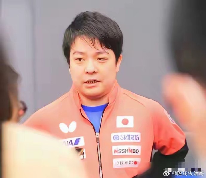 日本乒乓球队输掉世乒赛决赛后，张本智和与松岛辉空的关系是否会更加紧张？