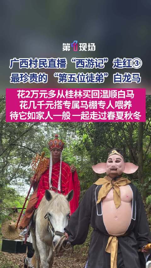 搭马棚、每天帮它洗澡、专人喂养...上里西游记团队花2万多买白龙马
