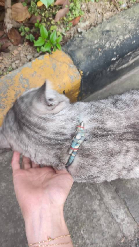 妈呀被一辆大运撞了 卡车回家