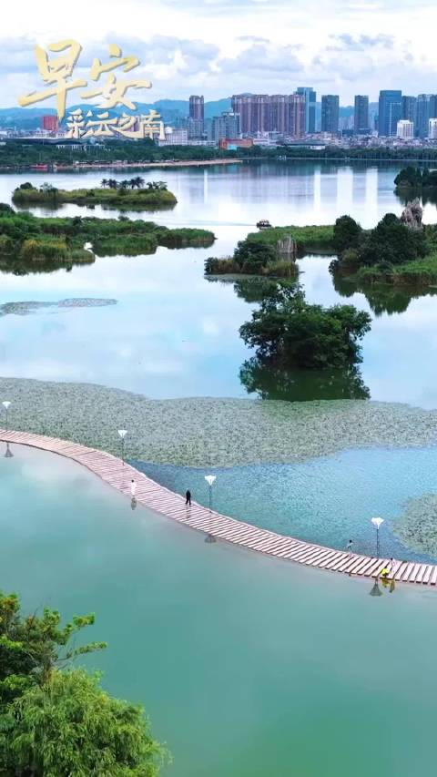 5月14日 弥勒· 湖泉生态园 深情念远 莲鹭寄情