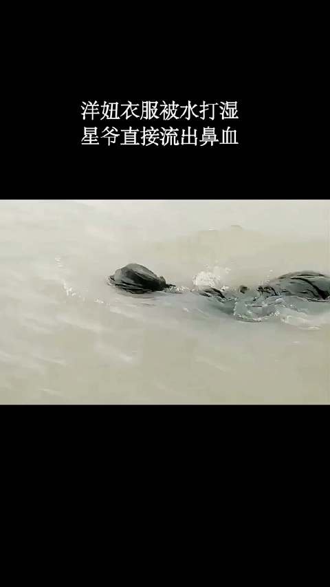 洋妞媳妇被水打湿，星爷直接流出鼻血！