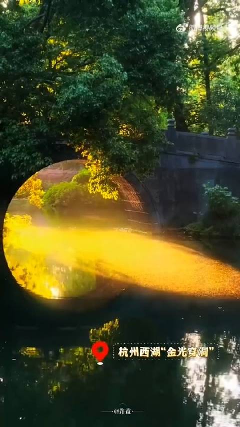 浮光跃金，静影沉璧。见者好运！西湖现金光穿洞氛围感拉满