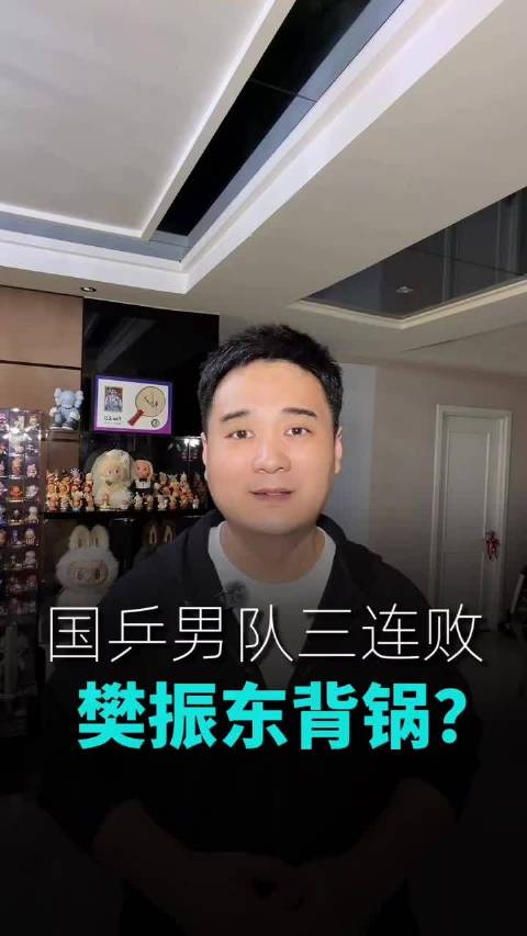 有事樊振东，无事烦振东！好事无振东，背锅有振东！体育精神