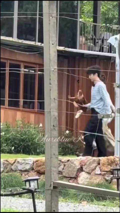 我孩子拎着一只鸡冷静到像拎了一桶水那么日常自然