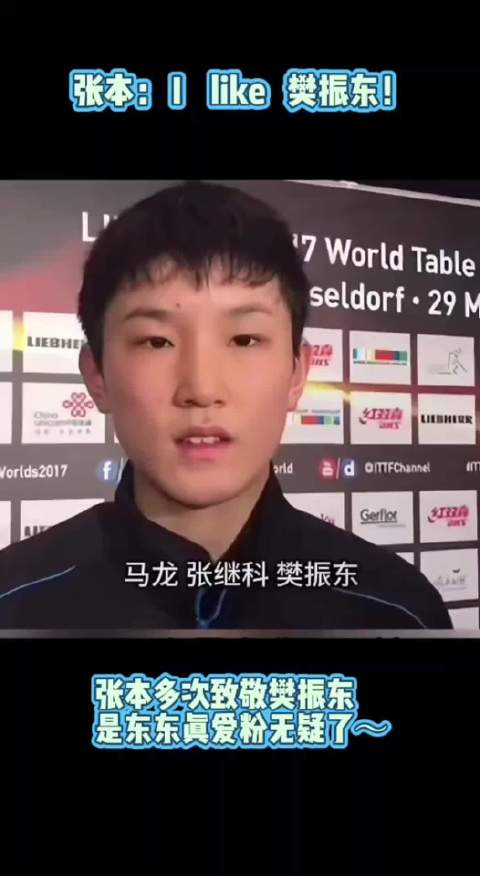张本智和致敬马龙樊振东世乒赛经典对决