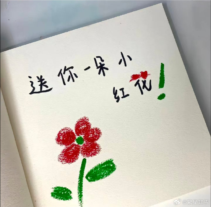 除了学历和运动，郑恺还有哪些展现温柔细腻性格的细节故事？