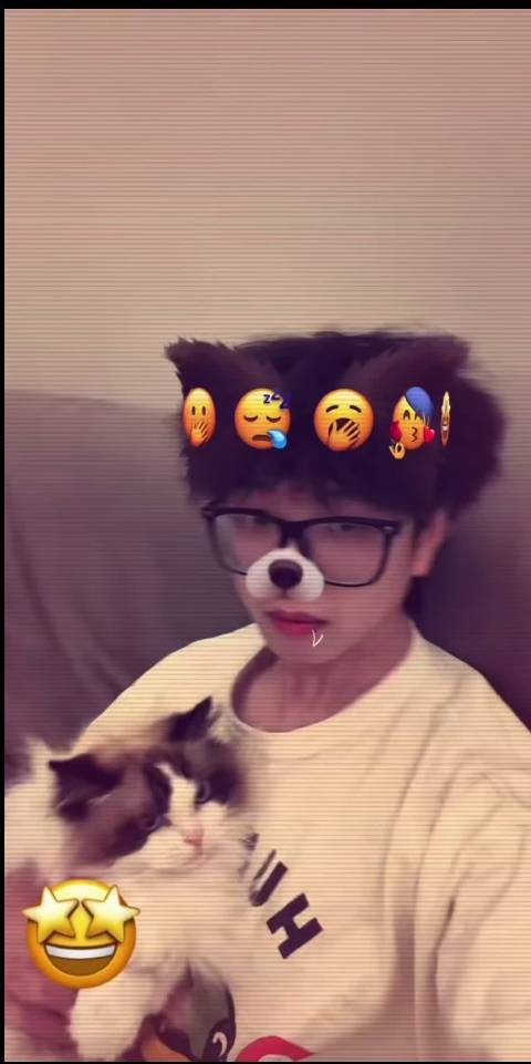 布加迪是一只随便撸都不会反抗的小喵
