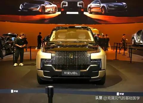 三排能塞2米壮汉!仰望U8L鼎世版130万上市，黄金车标+云辇-P