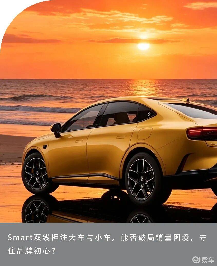 精灵变大初心难守 Smart双线押注背后的生存焦虑
