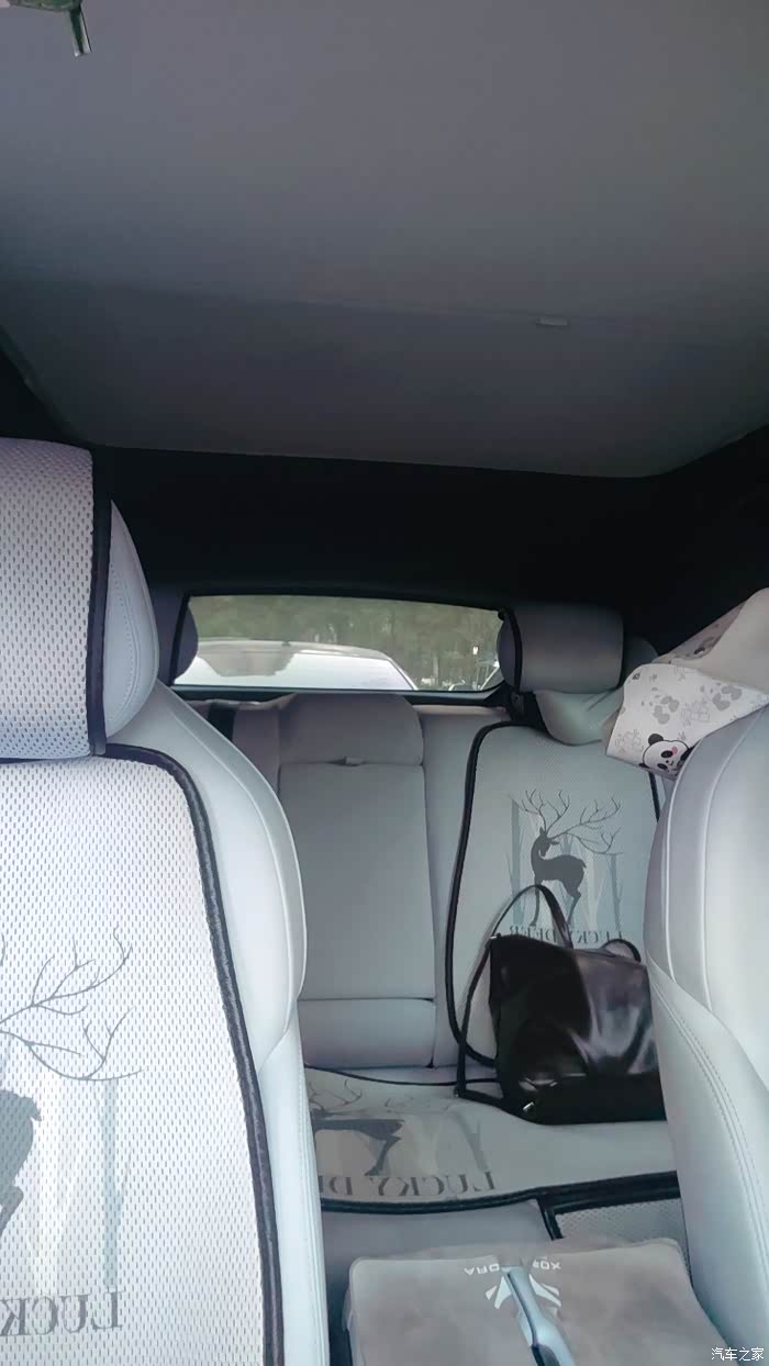 提升幸福的爱车装饰品_极狐 阿尔法T5