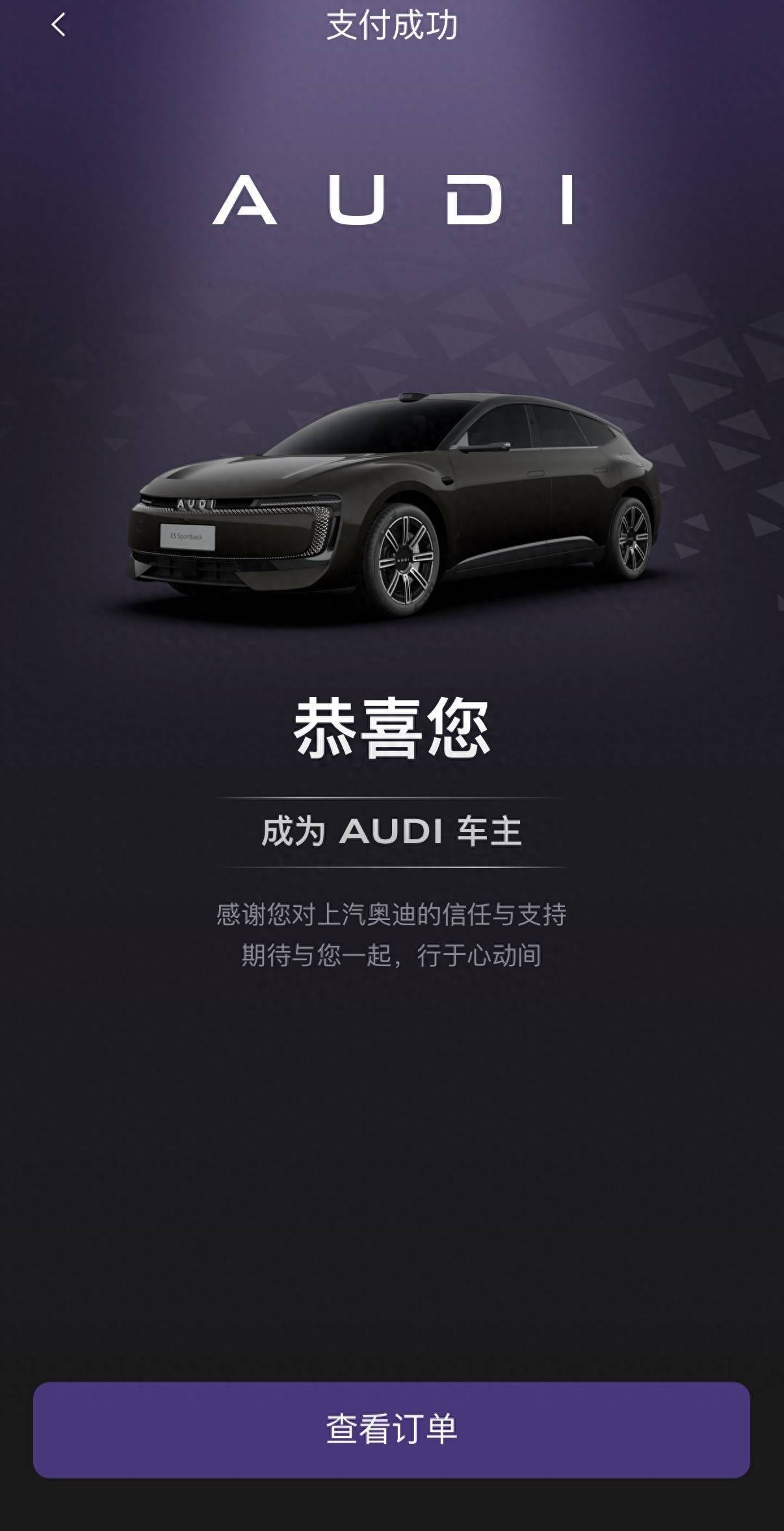 锁单后的真诚建议：奥迪E5 Sportback选哪款 | BitAuto