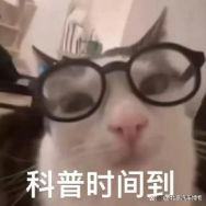 懂车必修课|洞察自动驾驶:从分级逻辑到技术体系全攻略