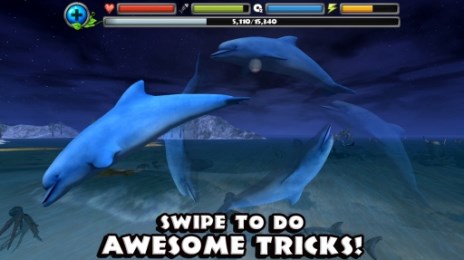 海豚模拟器app下载-海豚模拟器(Dolphin Sim)游戏下载 - 91手游网