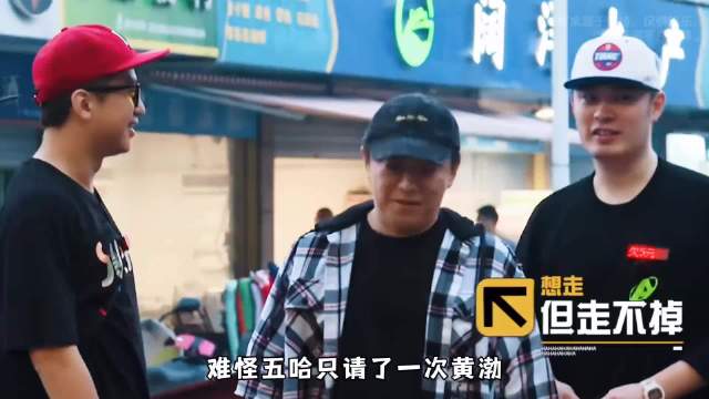 难怪五哈只请了一次黄渤，这完全是伯约揍坤坤，妥妥的降维打击
