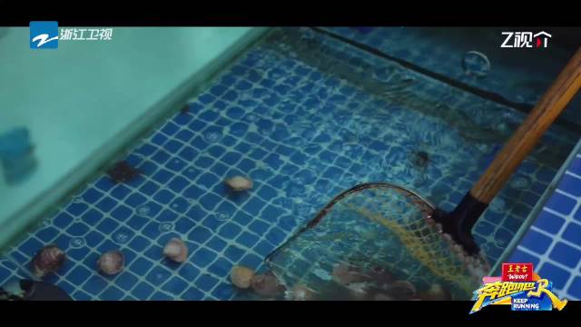 李昀锐高情商回应获赞，网友期待奔跑吧表现