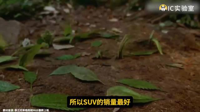 泰兰尼斯千元童鞋成本37元，营销套路与车企如出一辙