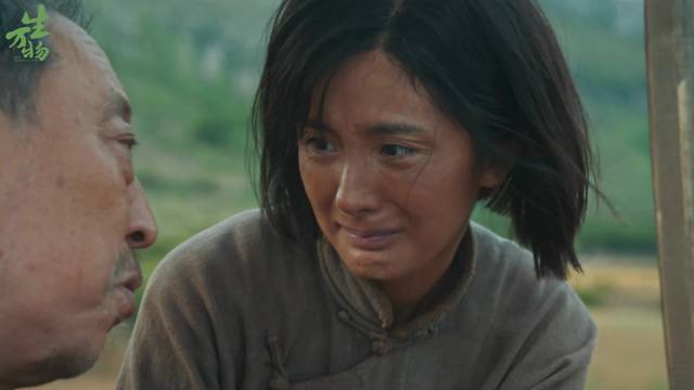 杨幂杨紫获白玉兰奖提名，新剧《江山大同》《末路狂花》引期待