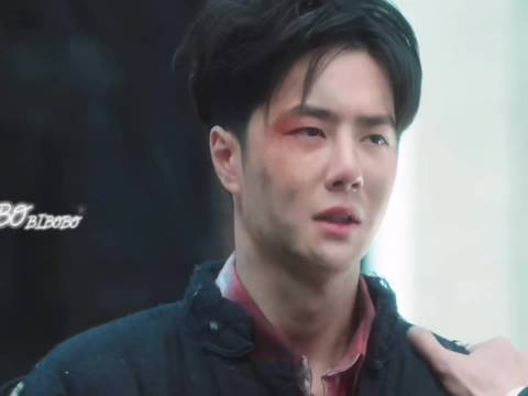 魏若来受伤不言痛，沈图南收其为关门弟子