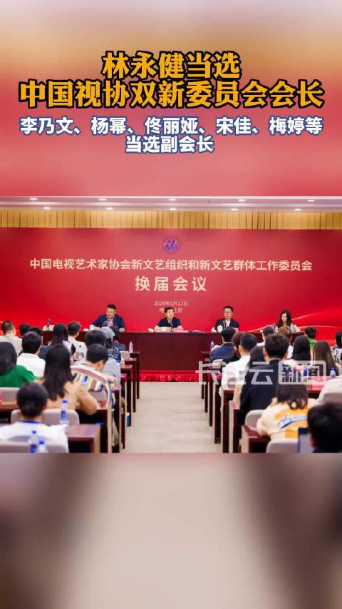 李乃文杨幂梅婷等19人任副会长