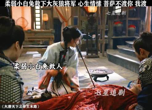 电影大唐天下帝王末路剧情反转柔弱小白兔救大灰狼将军