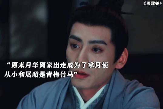 剧里没有成婚，但是更好磕了，俩人依然是彼此生命中不不可缺的一部分 雨霖铃