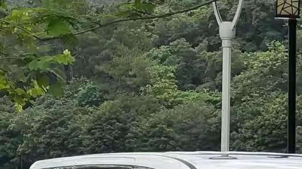 2024年12月第一周MPV销量榜,赛那夺冠,腾势D9DM第7,艾力绅第19