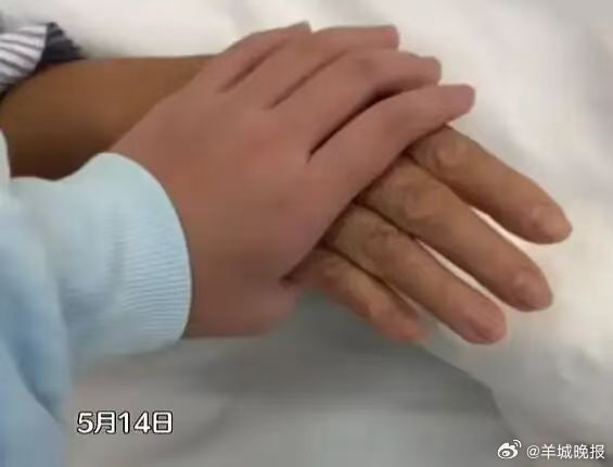 全红婵哥哥发声：母亲病情好转，妹妹病床前紧握母亲手
