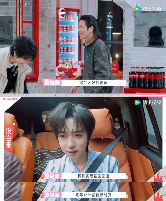 在《五十公里桃花坞》中，贺峻霖具体向哪些前辈学习了哪些技能？