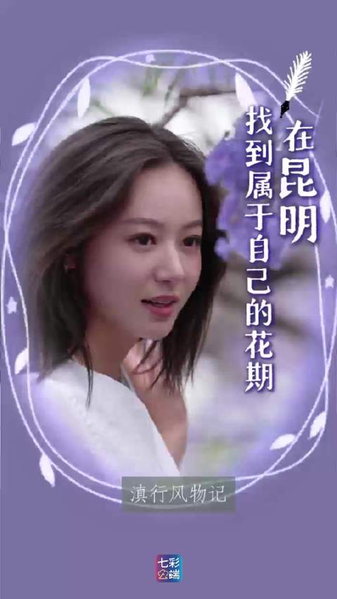 滇行风物记 | 在昆明 找到属于自己的花期