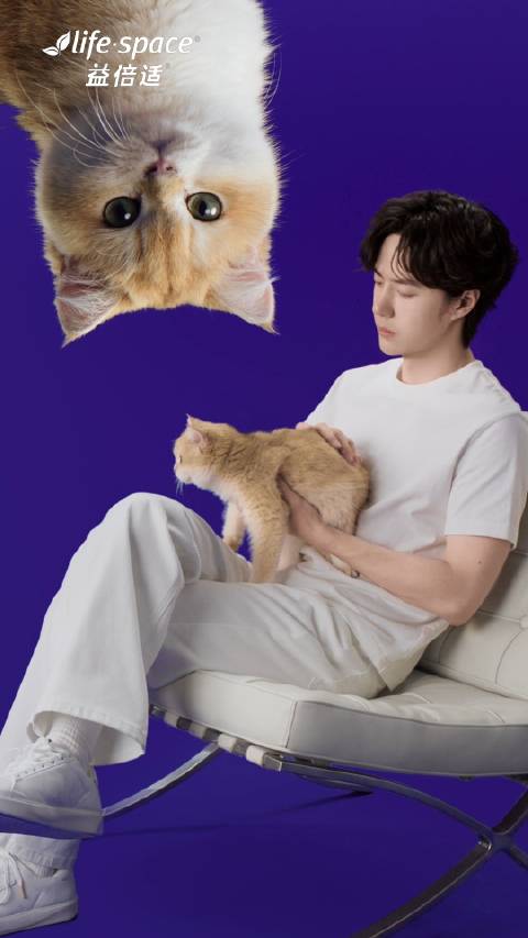 王一博代言益倍适益生菌并晒出金渐层宠物猫