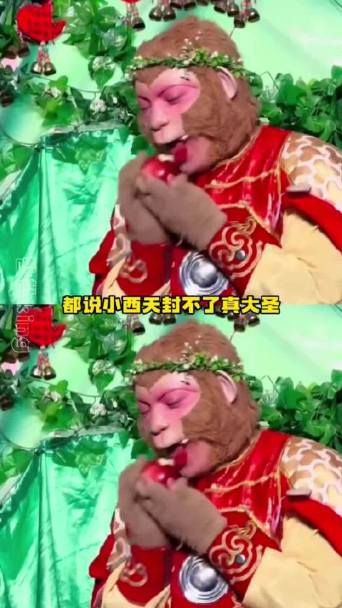 雪饼猴为宣传家乡放弃梦想加盟无限超越班