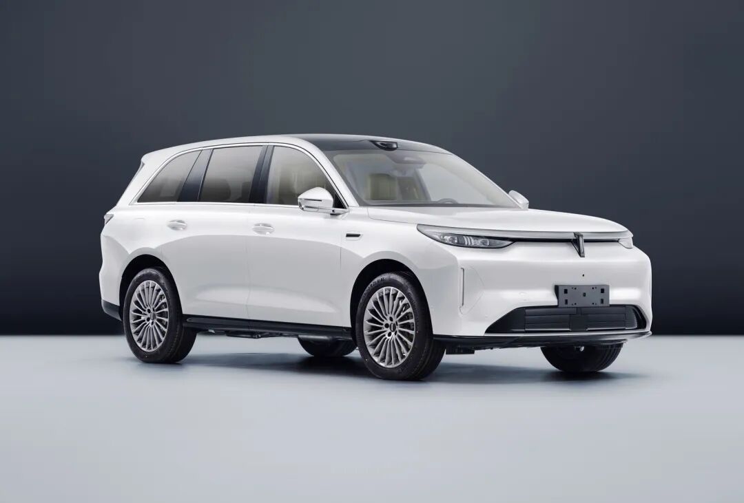 魏牌全新SUV V8X申报!大五座+纯电312km