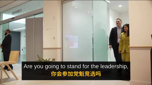 斯特里廷宣布角逐工党党魁，主张英国重返欧盟
