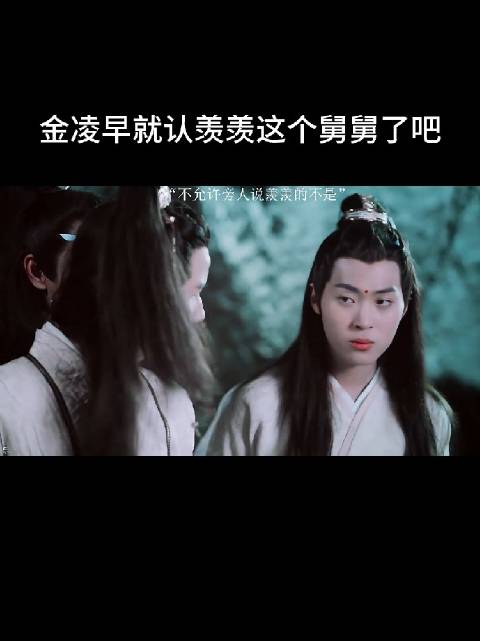 连小辈们都知道维护魏婴，为什么江澄就不能为魏婴说过一句好话呢？