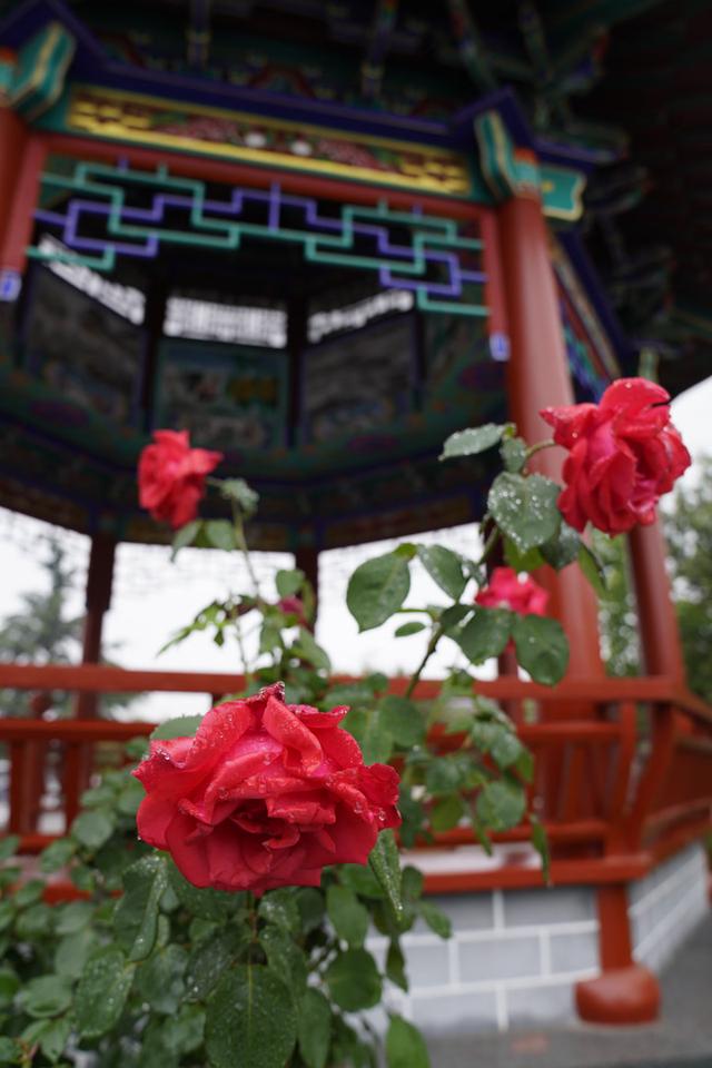 来源:北京日报客户端
