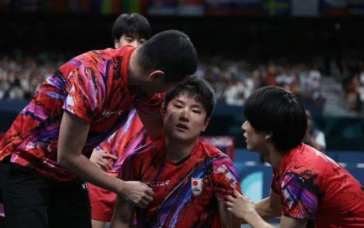 王皓回顾樊振东巴黎惊险时刻，揭秘当时师徒对话，球迷听后很震撼_比赛_国乒_张本
