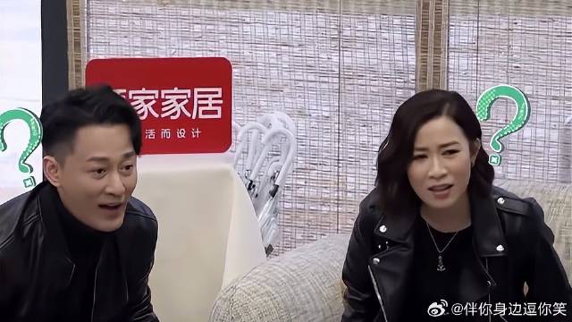 中国最难懂的粤语，杨迪沙溢乱飚，把佘诗曼整不会了丨我们的客栈