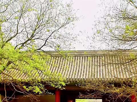 雍正宠臣李卫获赐半碗饭统领京城私兵