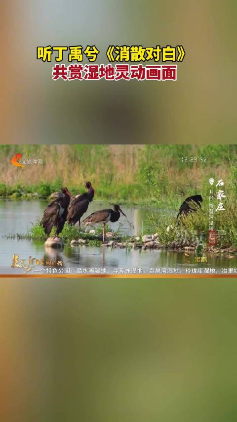 伴丁禹兮消散对白共赴生态之旅