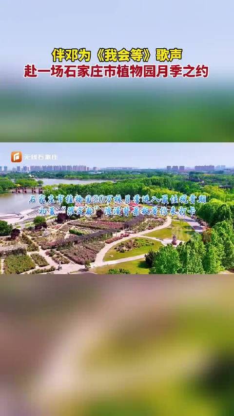 石家庄植物园月季盛放，邓为献唱伴游园